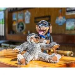 Fluff and Tuff Sonny Sloth Dog Toy
