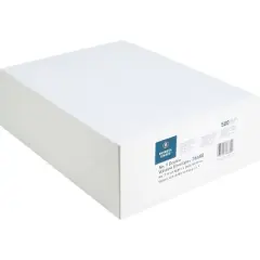 Business Source Double Window Invoice Envelopes White