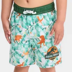 Toddler Boys' Jurassic Park Swim Shorts - Green