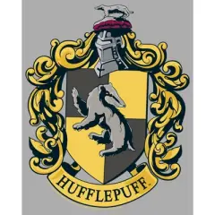 Boy's Harry Potter Hufflepuff Gold Crest T-Shirt