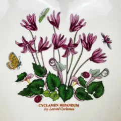 Portmeirion Botanic Garden 8.5" Scalloped Heart Shaped Dish, Cyclamen Motif - Durable Porcelain Serveware with Chip-Resistant Glaze, Dishwasher Safe