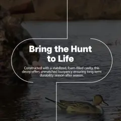 Avian X Power Swimmer Pintail Drake Motion Duck Decoy, 10+ Hour Battery, Non-Fouling Motor Design, & Stabilized Foam-Filled Body for Waterfowl Hunting