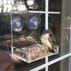 OnDisplay Window Mounted Clear Acrylic Bird Feeder Tray