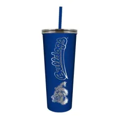 NCAA Fresno State Bulldogs 24oz Skinny Tumbler with Straw