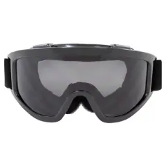 Birdz Eyewear Vulture Safety Goggles with Smoke Lenses