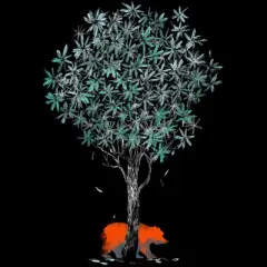 Men's Design By Humans Wild Bear Scratching Tree By radiomode Tank Top