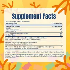 ORIGINAL SEA MOSS GUMMIES