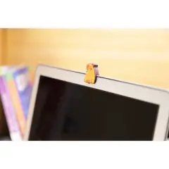 Vivitar Camera Cover - Capybara