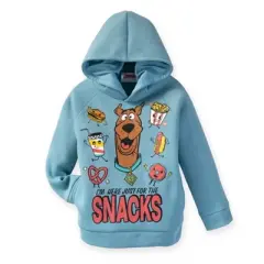 Scooby-Doo Scooby Doo Fleece Hoodie and Pants Outfit Set Blue / Grey 