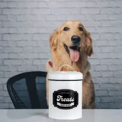 Amici Pet "Treats Baked Goods" Metal Food Canister - Airtight with Lid, 64oz Capacity, Perfect for Storing Pet Food and Treats