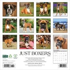 Willow Creek Press 2026 Boxers Wall Calendar