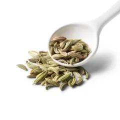 Fennel Seed - 1.75oz - Good & Gather&trade;