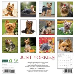 Willow Creek Press 2026 Yorkies Wall Calendar