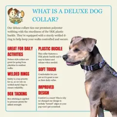 Country Brook Petz Deluxe Dog Collar - Abstract Collection - Made In The U.S.A.