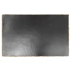 NFL Detroit Lions Logo Door Mat