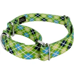 Country Brook Petz Margarita Argyle Martingale Dog Collar
