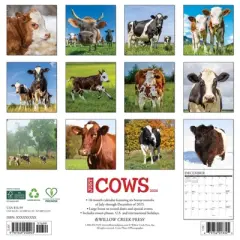 Willow Creek Press 2026 Cows Wall Calendar