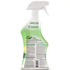 OdoBan Original Eucalyptus Ready to Use Liquid Fabric and Air Freshener Disinfectant - Eucalyptus