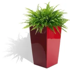 Algreen Modena 22-Inch Tall Inside/Outside Self-Watering Square Decorative Planter Pot with Wheels, Glossy Red