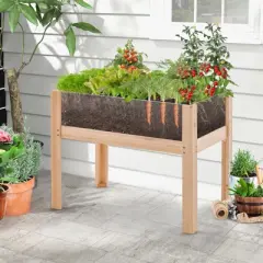 Tangkula Raised Wooden Garden Bed with Legs 24"/31&rdquo; Elevated Planter Box with 2 Acrylic Panel Sides Drain Holes, Movable Beds