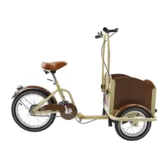 Topteng Cargo Bike, Three-Wheel Bicycle
