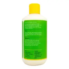 Alaffia EveryDay Coconut Body Lotion - 16 fl oz