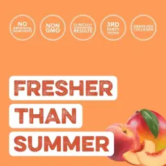 Clean Simple Eats Collagen + Beauty Blend Powder - Peach Mango - 14.4oz/30 Servings