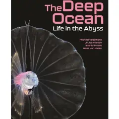 The Deep Ocean - by  Michael Vecchione & Louise Allcock & Imants Priede & Hans Van Haren (Hardcover)