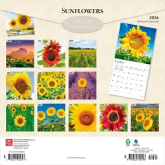 BrownTrout Sunflowers 2026 12"x24" Hanging Square Wall Calendar Plastic-Free