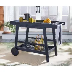Renzo Indoor/Outdoor Bar Cart  - Safavieh