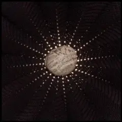 Nat Baldwin - In the Hollows
