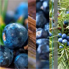 Glade 3 Wick Candle - Juniper & Teak - 6.8oz