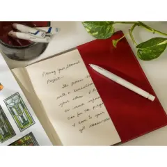 Zebra 2ct Gel Pens BLEN Black Ink