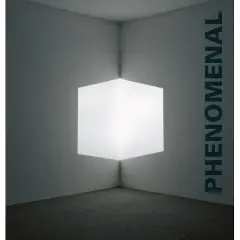 Phenomenal - by  Robin Clark (Hardcover)
