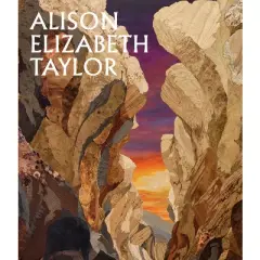Alison Elizabeth Taylor: The Sum of It - by  Allison Kemmerer (Hardcover)