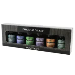 Plantlife Basic Sampler Set 6-pack (Lavender, Tea Tree, Peppermint, Eucalyptus, Rosemary, Sweet Orange) &ndash; 100% Pure Therapeutic Grade &ndash; 10 ml
