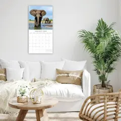 2026 Square Wall Calendar, Elephants, 16-Month Animals Theme with 180 Reminder Stickers (12x12 In)