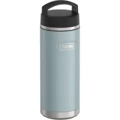 Thermos 32 oz. Icon Stainless Steel Dual Temperature Beverage Bottle