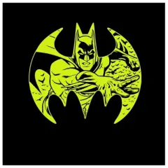 Batman Neon Yellow Logo and Character Black T-shirt Toddler Boy to Youth Boy