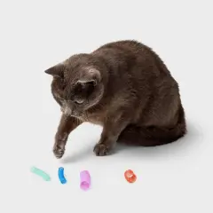 Springs Interactive Cat Toy - 10pk - Boots & Barkley&trade;