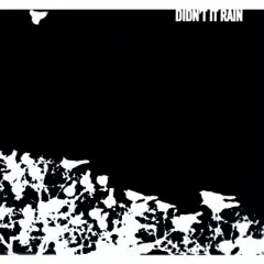 Songs: Ohia - Didn't It Rain (Vinyl)
