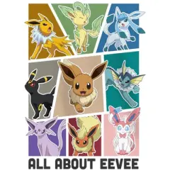 Girl's Pokemon All About Eevee Eeveeloution T-Shirt