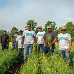 Back to the Roots 5pk Organic USA Flower Seeds