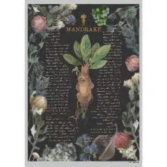 Junior's Harry Potter Mandrake Root Recipe T-Shirt