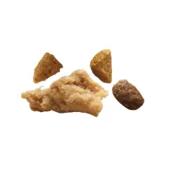 Purina ONE Healthy in Chicken Flavor Puppy Dry Dog Food - 31.1lbs