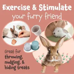 Evergreen Pet Supplies 8 Piece Stacking Cups for Rabbits- Wheat Straw Toys with Cute Animal Designs - Bunny Stacking Cups to Play with Rabbits