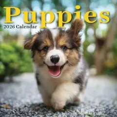 TF Publishing 13.5"x14.5" 2026 Puppies Wall Calendar