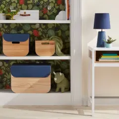Medium Natural Wood Kids' Storage with Lid Navy - Pillowfort&trade;