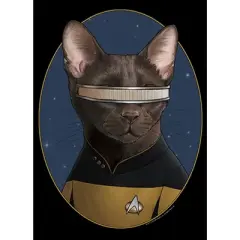 Men's Star Trek: The Next Generation Lieutenant Commander Geordi La Forge Cat Sweatshirt