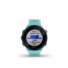 Garmin Forerunner 55 GPS Running Smartwatch